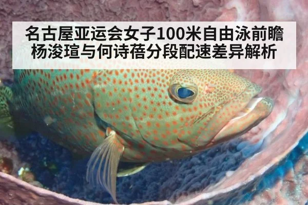 名古屋亚运会女子100米自由泳前瞻 杨浚瑄与何诗蓓分段配速差异解析