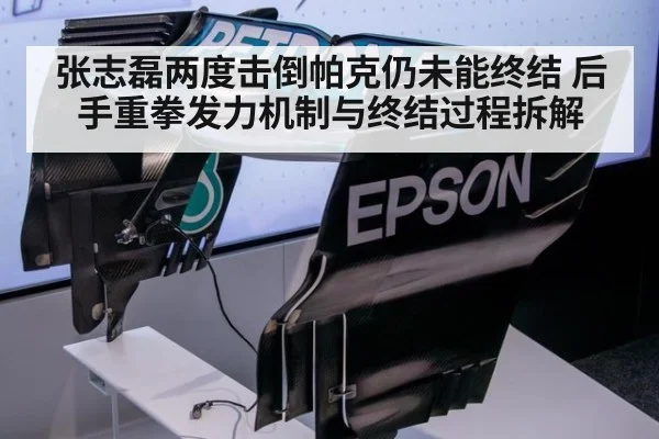 张志磊两度击倒帕克仍未能终结 后手重拳发力机制与终结过程拆解